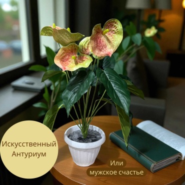 МИА антуриум 50 см, 401881938