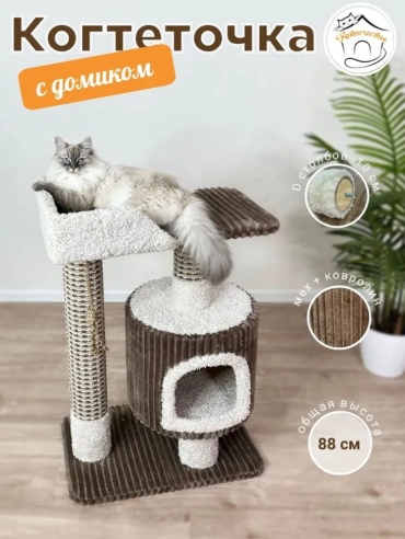 Когтеточка