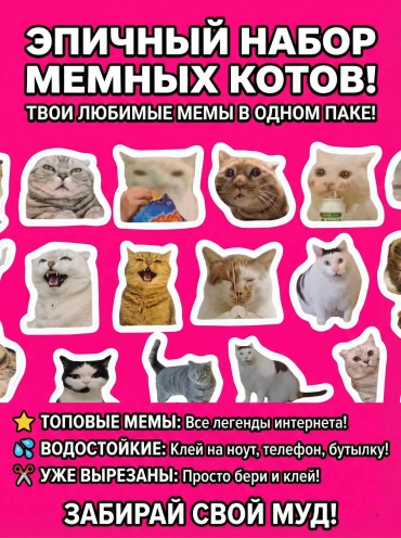 30387827_Эпичный набор мемные наклеек 15x15 см