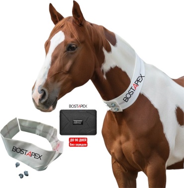 BOSTAPEX GPS-трекер, вид животного: лошади, КРС