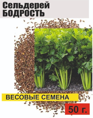 Сельдерей Бодрость, 50 г.
