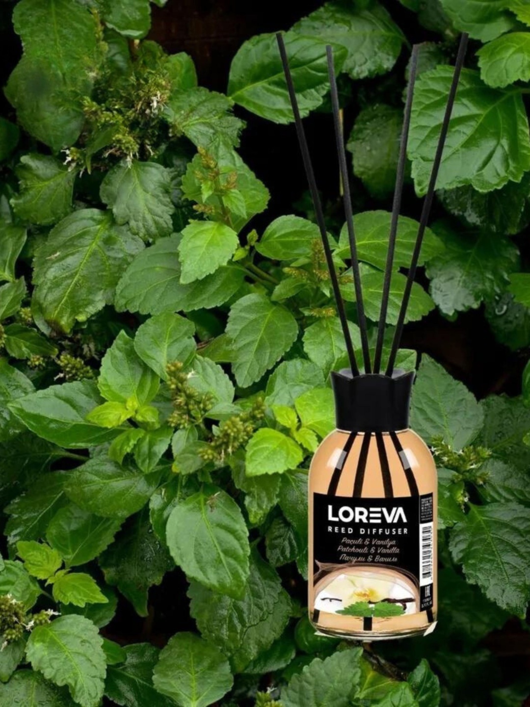 Диффузор Loreva Пачули - Ваниль 55 мл