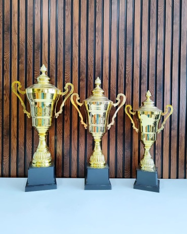 Golden Cup кубок Комплект "Стоун"