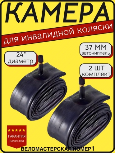 3381007_319929351
