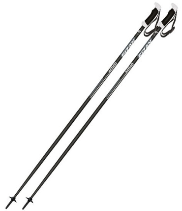 Палки для лыж FIZAN Action PRO, 100.2 130 серый