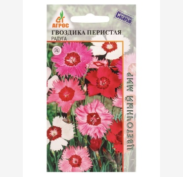 Агрос гвоздика Перистая