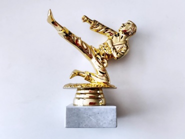Golden Cup трофей Карате выпад мини