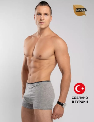 Боксеры Oztas серый