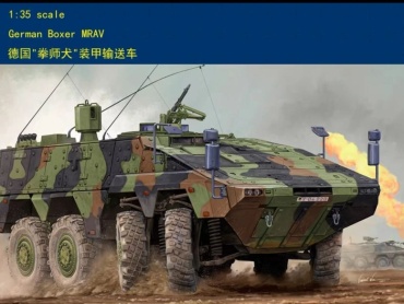 German Boxer MRAV