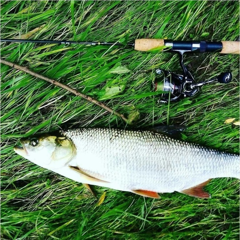 Outdoor LFS набор приманок Набор приманок Кастмастер блесна 7- 21г