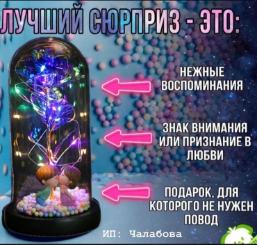 Роза Rose of love 20 см