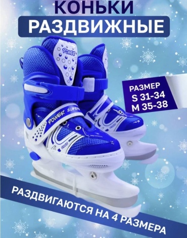1TOY Коньки прогулочные синий