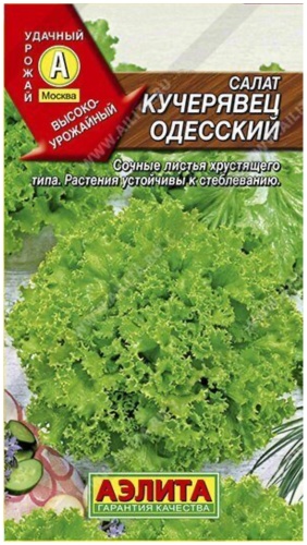 Аэлита салат Кучерявец Одесский