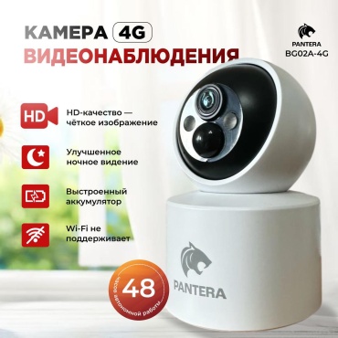 Pantera камера видеонаблюдения 239067BG02A-4G, 4MP, расширение 2560x1440