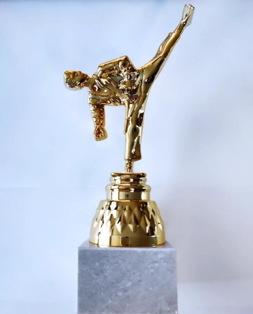 Golden Cup трофей Карате стойка