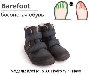 Ботинки Koel темно-синий