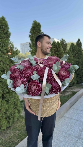 Цветы хризантемы в кашпо