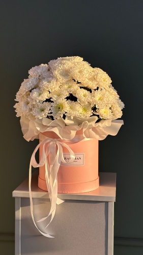 Raushan Flowers композиция в коробке хризантема 7 шт 50 см