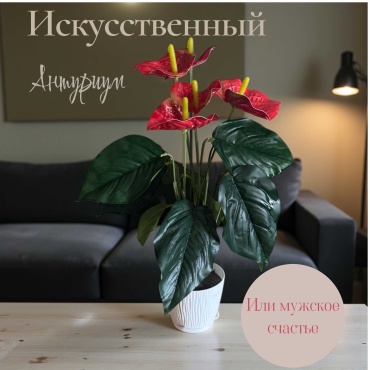 МИА антуриум 50 см, 401881937