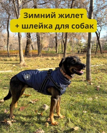 Утепленный жилет для собак со встроенной шлейкой синий 3XL
