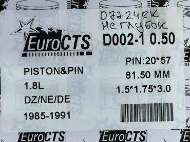EuroCTS поршневой комплект D002-1050