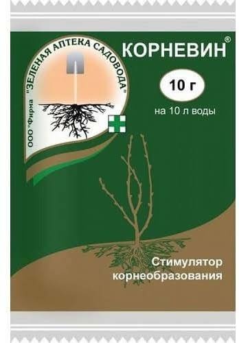Корневин