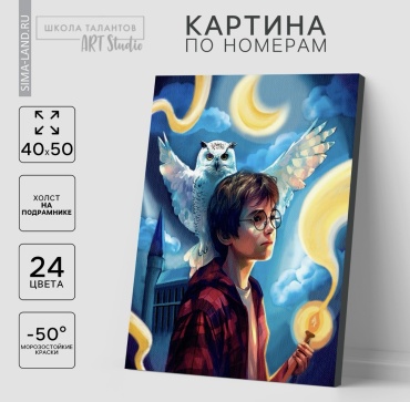 Art Studio Волшебство рядом. Гарри Поттер и букля. холст на подрамнике 40x50 см