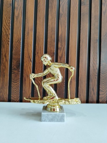 Golden Cup трофей Лыжи мини