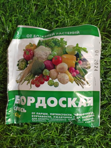 AVGUST фунгицид Бордоская смесь 100