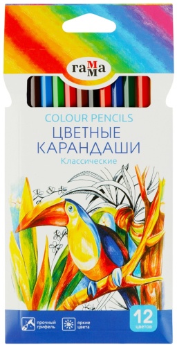 ГАММА 050918_02 форма шестигранная 12 шт