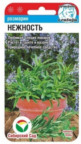Сибирский сад розмарин Нежность