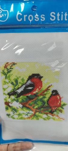 Cross Stitch Kit Bird01