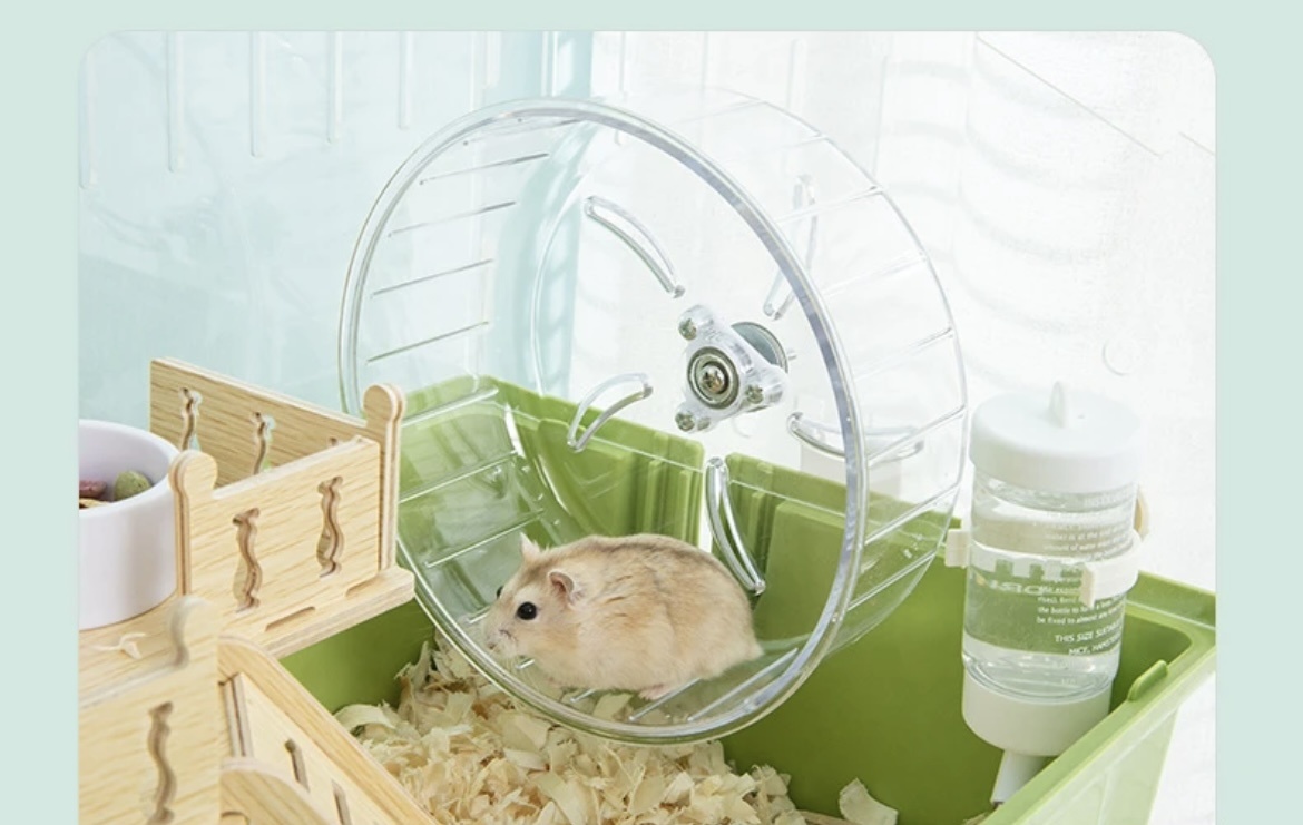 Клетка