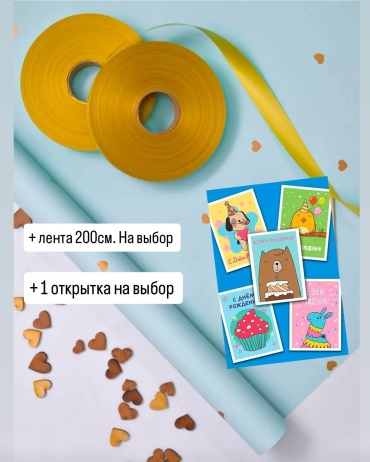 Пленка упаковочная 1 шт 100х58 см