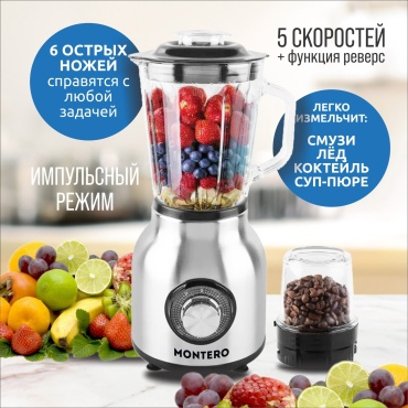 Блендер стационарный MONTERO PRO F4 серебристый
