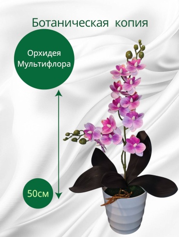 Цветок орхидея 50 см, 30373522_803472597
