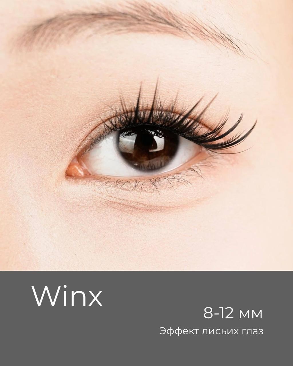 Самоклеящиеся ресницы Winx 10-12 мм