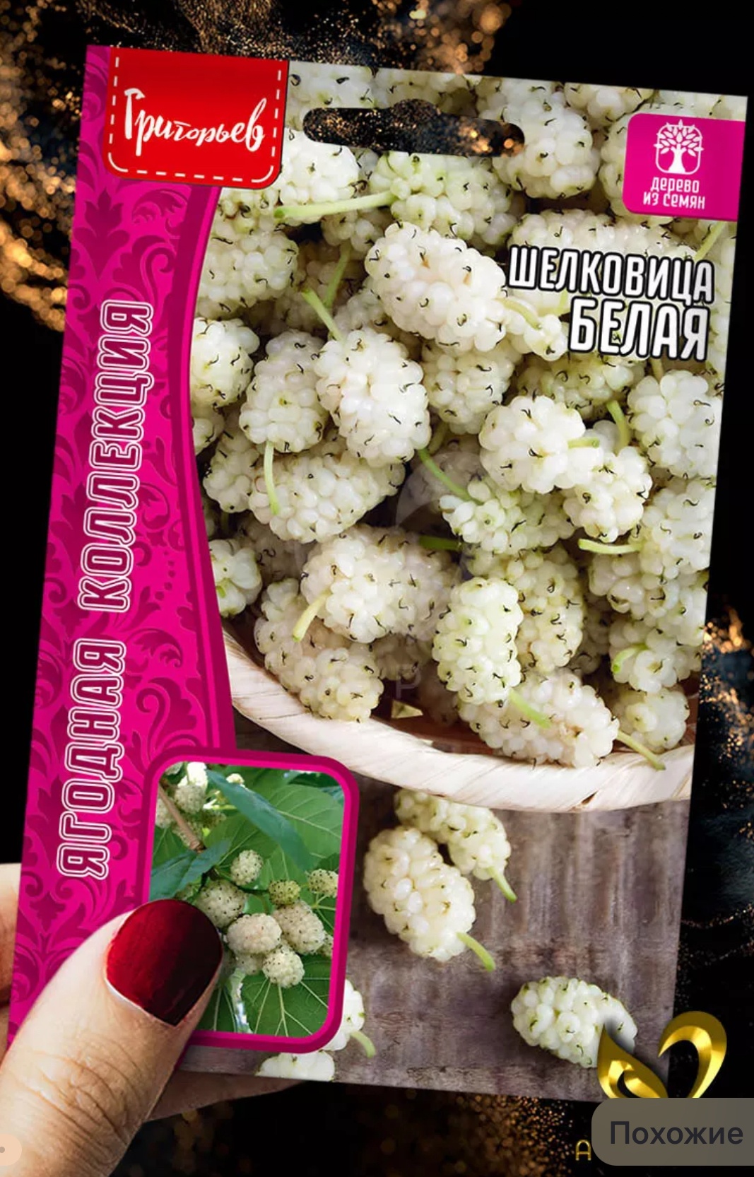 Григорьев шелковица Белая