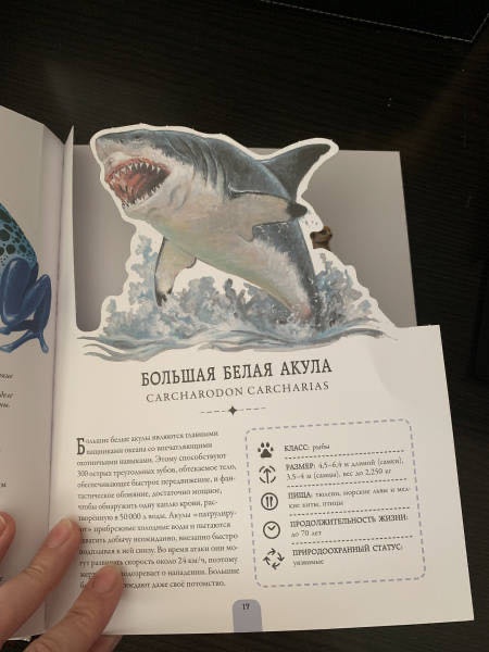 Книга Баттерфилд Мойра: Животные