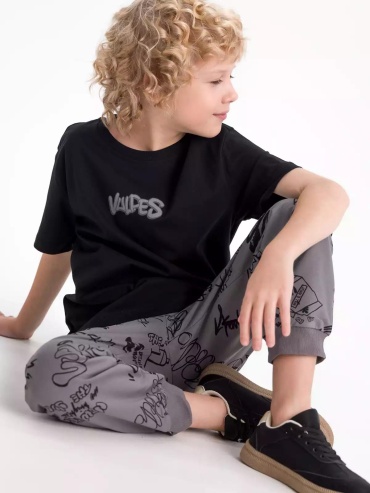 Спортивные брюки Vulpes серый