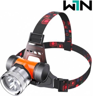 W1N Q21