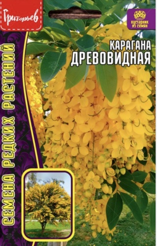 Григорьев карагана Древовидная