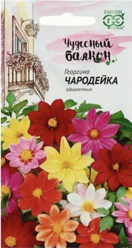 Гавриш георгина ЧАРОДЕЙКА ЧУДЕСНЫЙ БАЛКОН