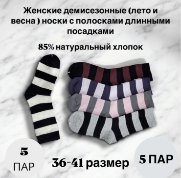 Носки SPEED WIN 5 пар мультиколор 36-51