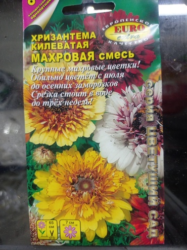 Euro Extra хризантема Килеватая Махровая микс