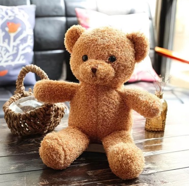 Мягкая игрушка Тедди мишка, 25 см