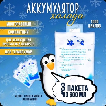 969006_АККУМ-ХОЛОДА-00100/600 600 мл