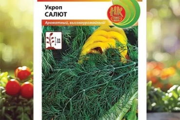 Русский огород укроп Укроп Салют