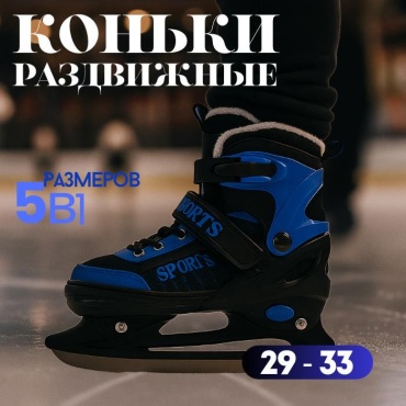 REEDAGE Коньки RD фигурные черный, синий