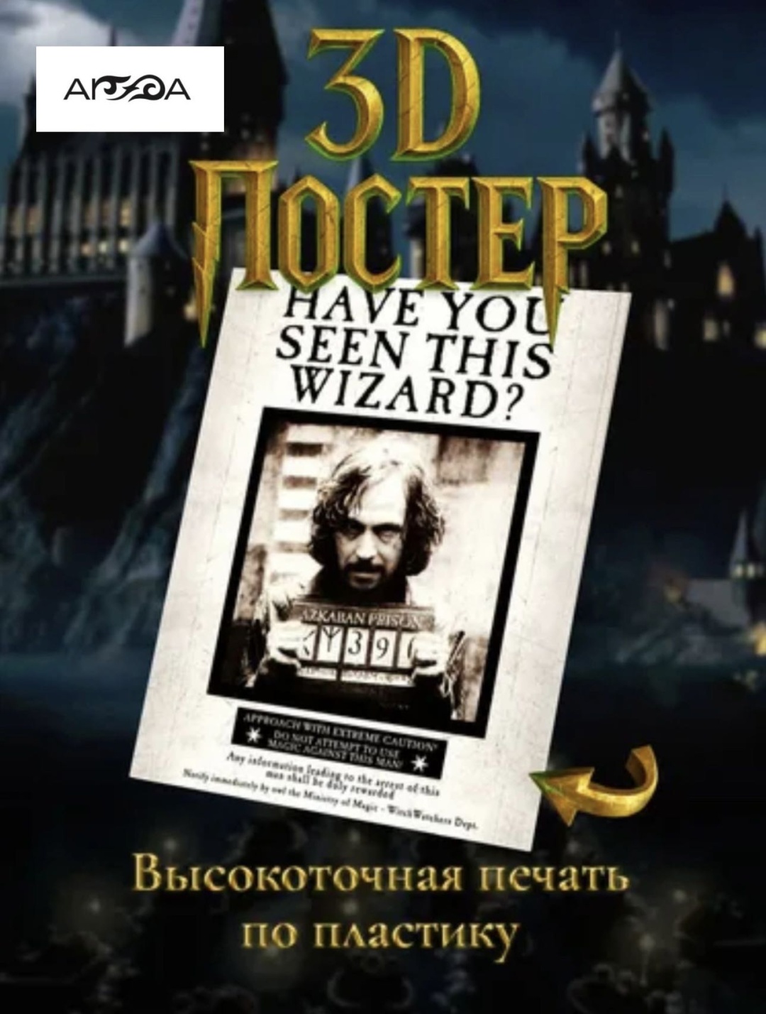 3D-картина Harry Potter/ Sirius Black 38x40 см